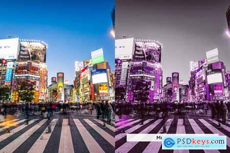 20 City Purple Lightroom Presets and LUTs