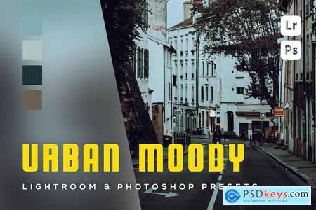 6 Urban Moody Lightroom and photoshop Presets