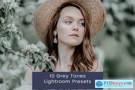 10 Grey Tones Lightroom Presets