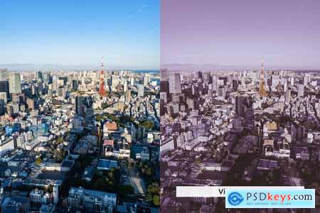 20 City Purple Lightroom Presets and LUTs