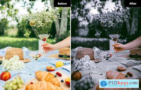 6 Moment Lightroom and Photoshop Presets