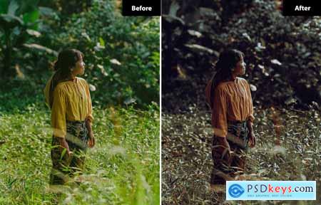 6 Wanderlust Lightroom and Photoshop Presets