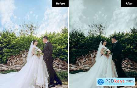 6 Earthy Lightroom and Photoshop Presets