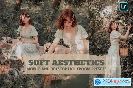 Soft Aesthetics Lightroom Presets Dekstop Mobile