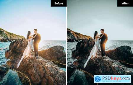 6 Earthy Lightroom and Photoshop Presets