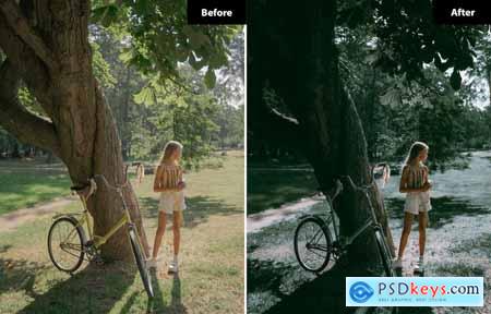 6 Wost Lightroom and Photoshop Presets