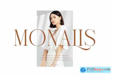 Canesa Elegant Serif Font