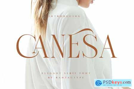 Canesa Elegant Serif Font