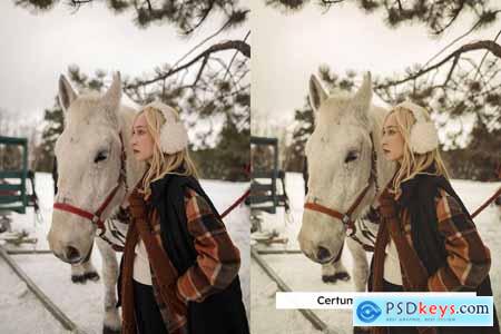 20 Equestrian Lightroom Presets and LUTs