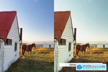 20 Equestrian Lightroom Presets and LUTs