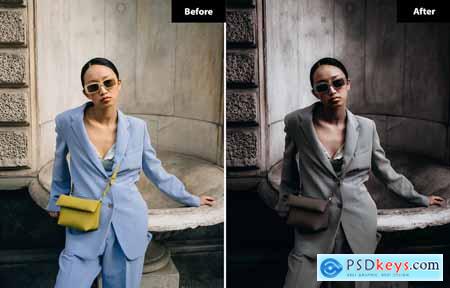 6 Look Fashioniste Lightroom and Photoshop Presets
