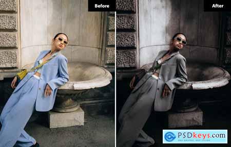 6 Look Fashioniste Lightroom and Photoshop Presets