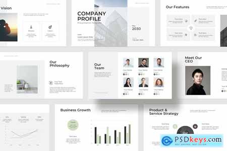 Company profile PowerPoint Presentation Template