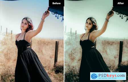 6 Clean Sky Lightroom and Photoshop Presets