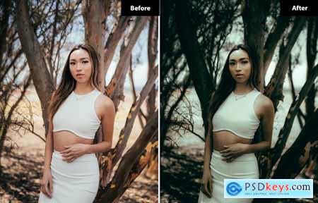 6 Clean Sky Lightroom and Photoshop Presets