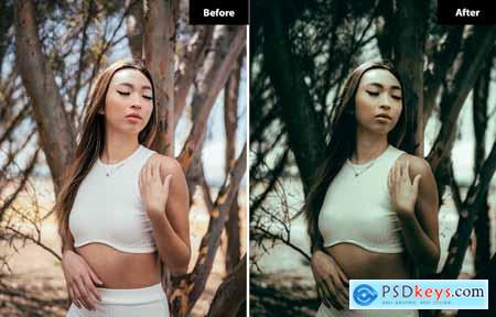 6 Clean Sky Lightroom and Photoshop Presets