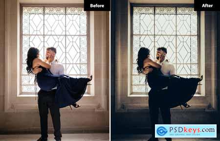 6 Bridge Lightroom and Photoshop Presets