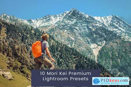 10 Mori Kei Premium Lightroom Presets