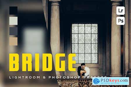 6 Bridge Lightroom and Photoshop Presets