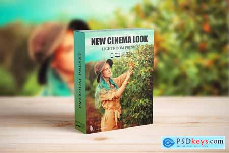 Steal Film Cinematic Look Lightroom Presets