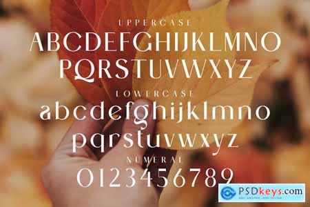 Bilend Modern Ligature Serif Typeface