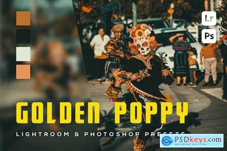 6 Golden poppy Lightroom and Photoshop Presets