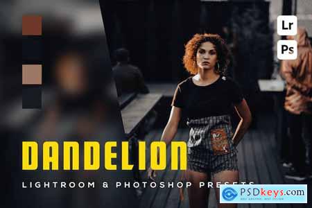 6 Dandelion Lightroom and Photoshop Presets