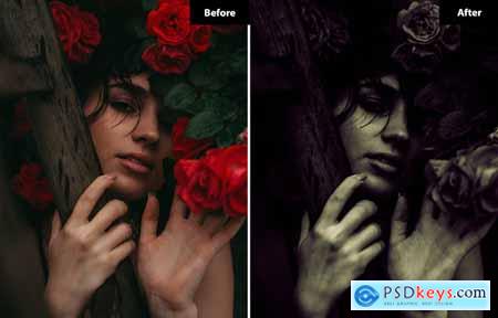 6 B & W Soft Liightroom and Photoshop Presets