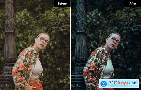 6 Buttermilk Lightroom and Photoshop Presets