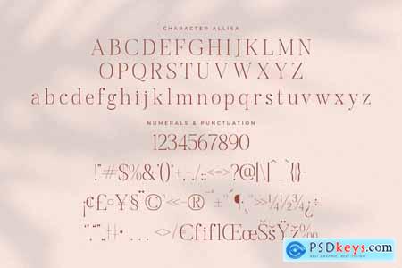 Allisa Modern Stylish Serif Font