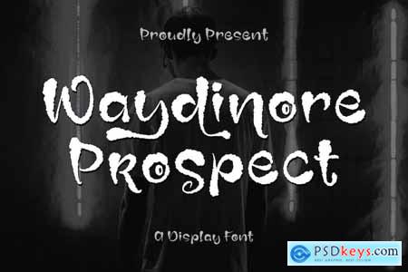 Waydinore Prospect A display Font