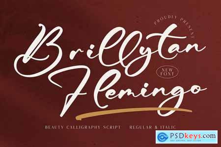 Brillytan Flemingo Calligraphy Script Font