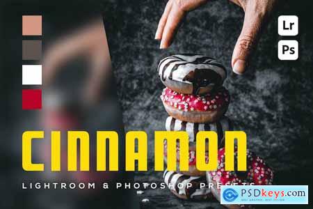 6 Cinnamon Lightroom and Photoshop Presets