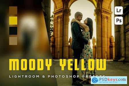 6 Moody Yellow Lightroom and Photoshop Presets