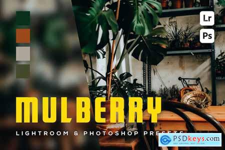 6 Mulberry Lightroom and Photoshop Presets