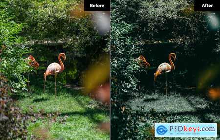 6 Flamingo Lightroom and Photoshop Presets