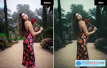 6 Ninfall Lightroom and Photoshop Presets