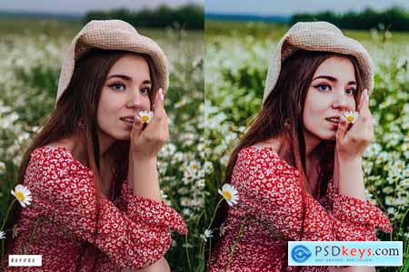 10 Outdoor Nature Lightroom Presets