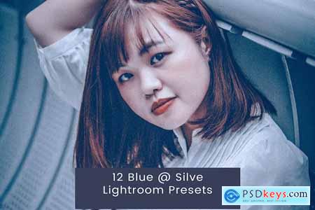 12 Blue @ Silve Lightroom Presets