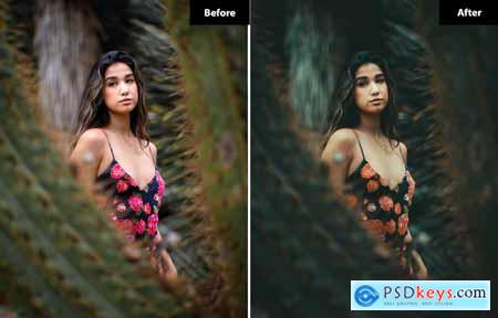 6 Ninfall Lightroom and Photoshop Presets