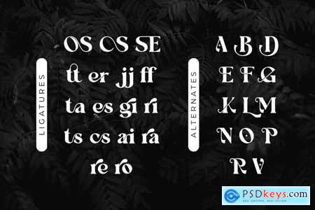 Novaria Serif Font