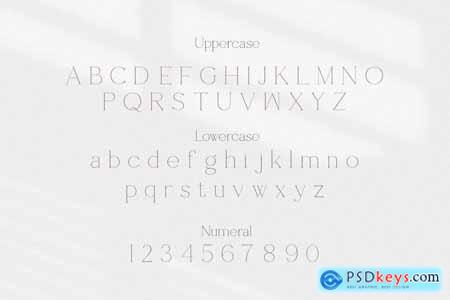 Shoogie Modern Serif Font