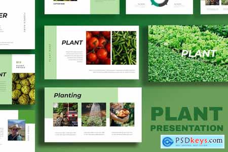 Plant Powerpoint Template