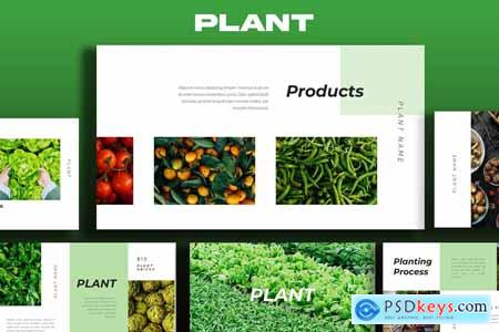 Plant Powerpoint Template