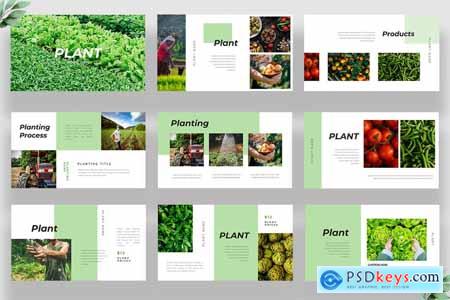 Plant Powerpoint Template