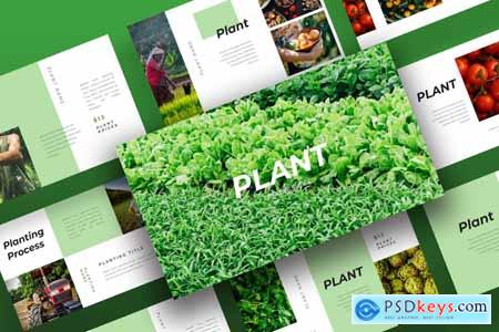 Plant Powerpoint Template