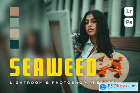 6 Seaweed Lightroom and Photoshop Presets