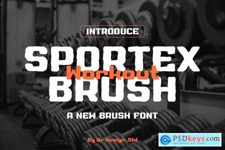Sportex Workout Brush