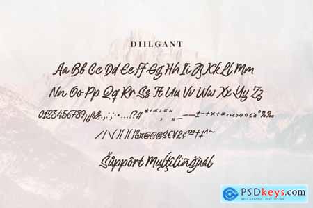 Diilgant - A Textured Script Font