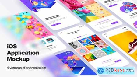 Application Mockup 29655357